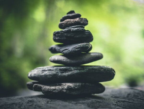 Retour d&rsquo;expérience : réussir son business plan