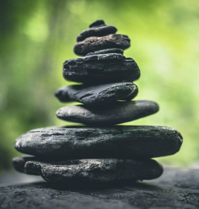 Retour d&rsquo;expérience : réussir son business plan