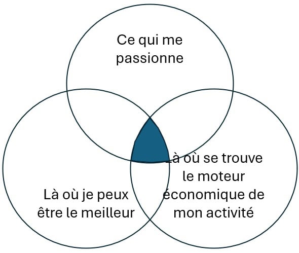 Schéma du concept du hérisson : trois cercles et leur intersection